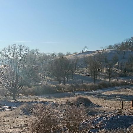 Wandersleben Pension Freudenthal المظهر الخارجي الصورة